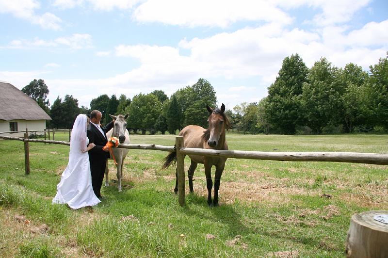 Johan & Liezel Wedding Shoot102.JPG